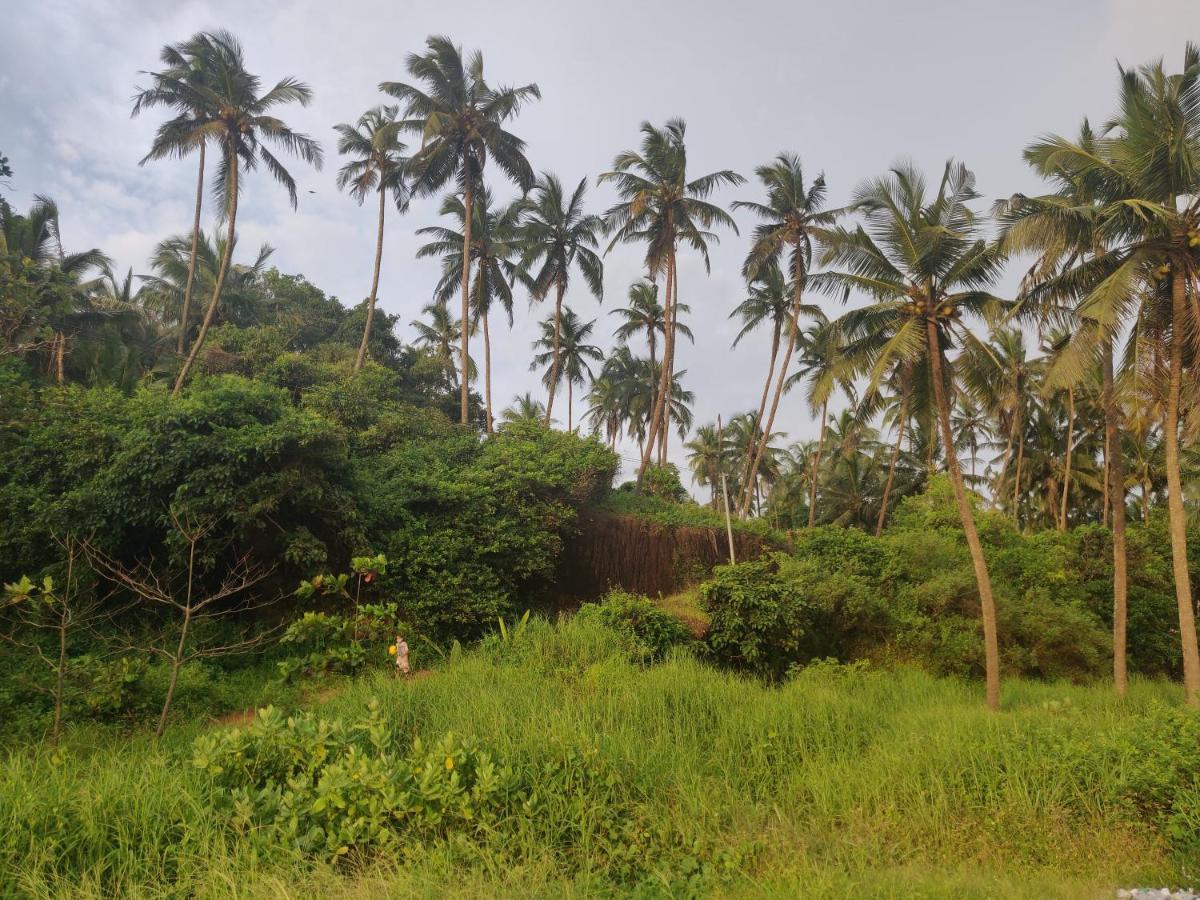 Sunshine Service Villa Kannur Exterior foto